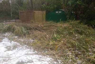 Garden Rubbish Removed by Rubbish On The Go Before